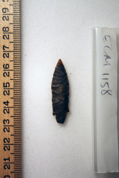 ECM.1158-2010-B image ECM.1158-2010-B