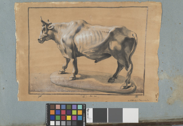 ECL-Bm.14_20-2013 image ECL-Bm.14_20-2013