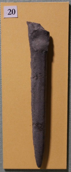 NHM.481-2017 image NHM.481-2017