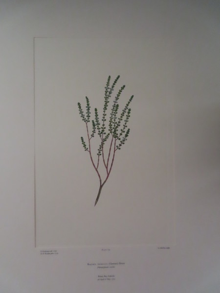 image FDA-E.2916_5_22-2016-A