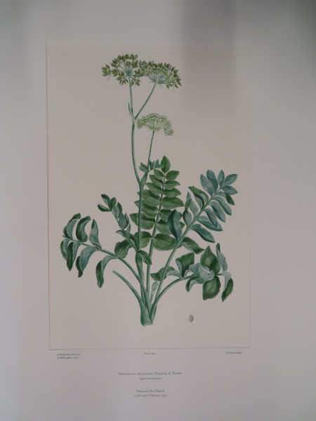 FDA-E.2916_22_19-2016 image FDA-E.2916_22_19-2016