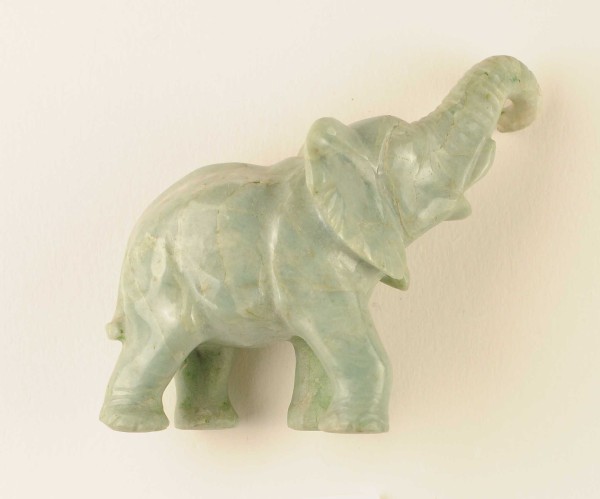 NHM-EE.106-2015 image NHM-EE.106-2015