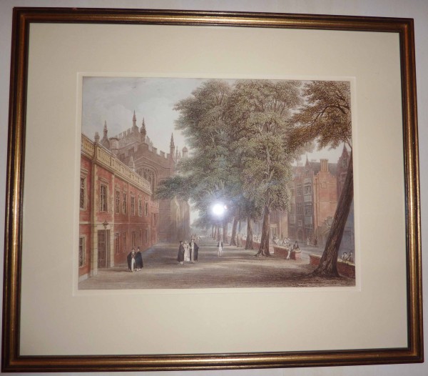 FDA-E.713-2012 image FDA-E.713-2012