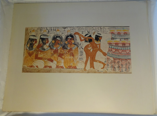 FDA-E.3055_26-2018 image FDA-E.3055_26-2018