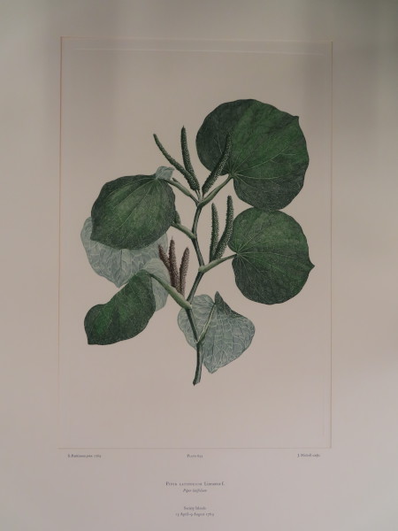 image FDA-E.2916_30_18-2016-A