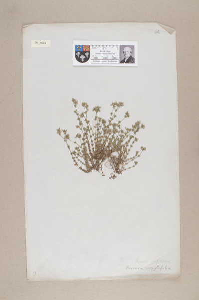 NHM_HH_9.3-2010 image NHM_HH_9.3-2010