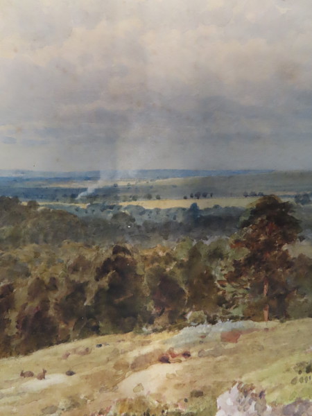 FDA-D.1710-2023-I image FDA-D.1710-2023-I