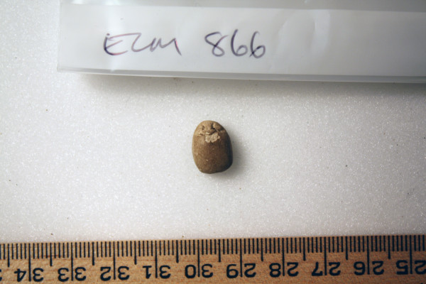 ECM.866-2010-A image ECM.866-2010-A