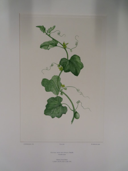 FDA-E.2916_29_4-2016-A image FDA-E.2916_29_4-2016-A