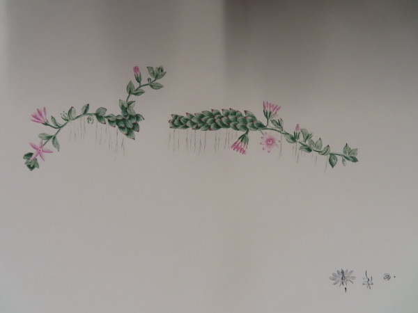 image FDA-E.2916_34_6-2016-A