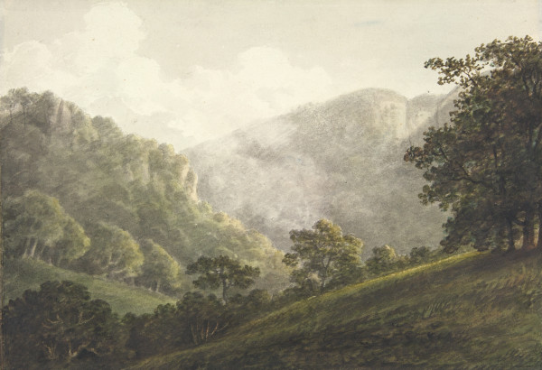 FDA-D.273-2010 image FDA-D.273-2010