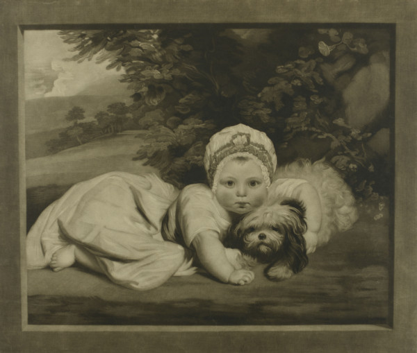 FDA-E.1165-2014 image FDA-E.1165-2014