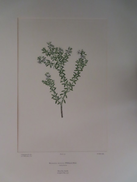 image FDA-E.2916_12_13-2016-A