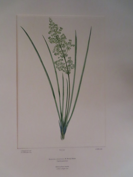 image FDA-E.2916_15_20-2016