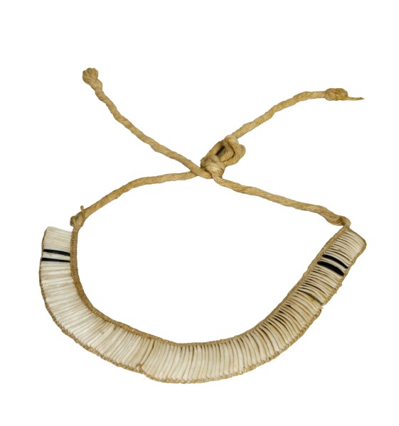 NHM-HT.96-2014 image NHM-HT.96-2014