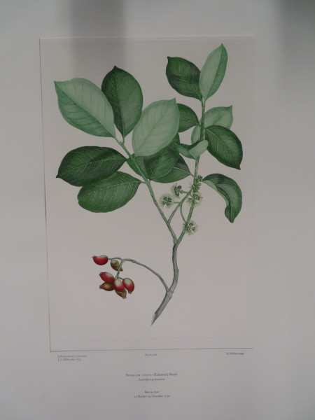 image FDA-E.2916_17_11-2016-A