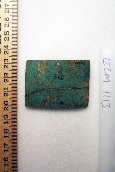 ECM.1113-2010-B image ECM.1113-2010-B