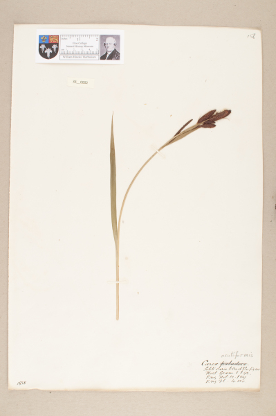 NHM_HH_33.2-2010 image NHM_HH_33.2-2010