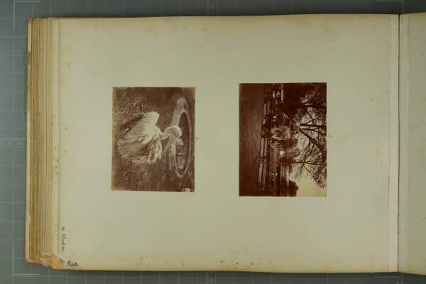 PA-A.81_44-2024 image PA-A.81_44-2024