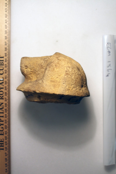 ECM.1564-2010-F image ECM.1564-2010-F