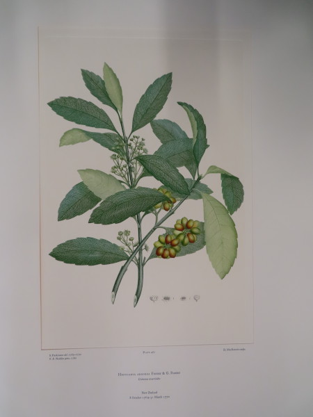 image FDA-E.2916_22_24-2016-A