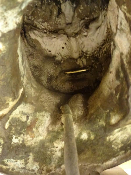 FDA-Sc.74-2017-H image FDA-Sc.74-2017-H