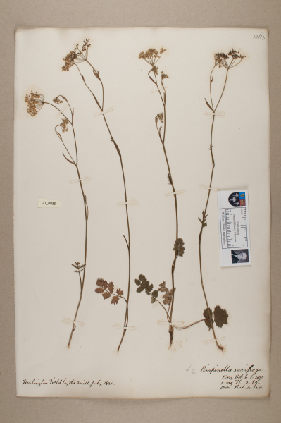 NHM_HH_21.35-2010 image NHM_HH_21.35-2010