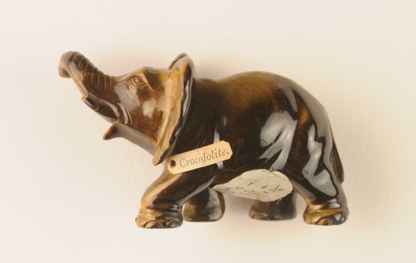 NHM-EE.47-2015 image NHM-EE.47-2015