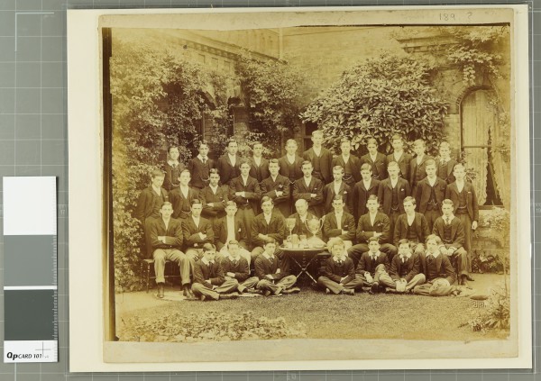 PA-PHA.1_35-2023 image PA-PHA.1_35-2023