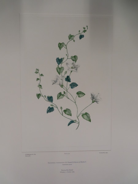 FDA-E.2916_24_25-2016-A image FDA-E.2916_24_25-2016-A