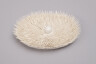 image FDA-A.2564-2024-cr