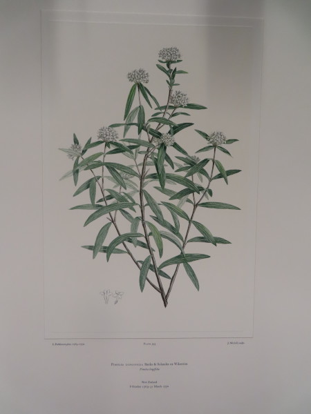 FDA-E.2916_26_8-2016-A image FDA-E.2916_26_8-2016-A