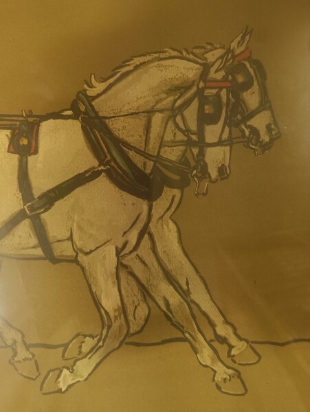 image FDA-E.903-2013-E