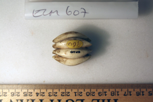 ECM.607-2010-B image ECM.607-2010-B