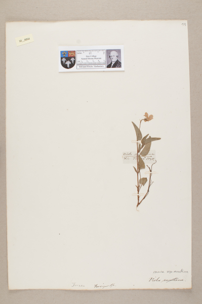 NHM_HH_10.54-2010 image NHM_HH_10.54-2010