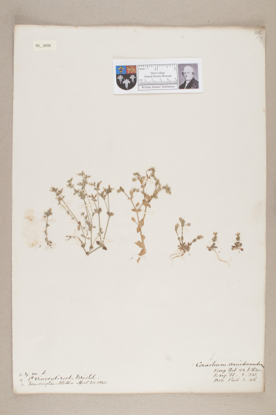 NHM_HH_9.39-2010 image NHM_HH_9.39-2010