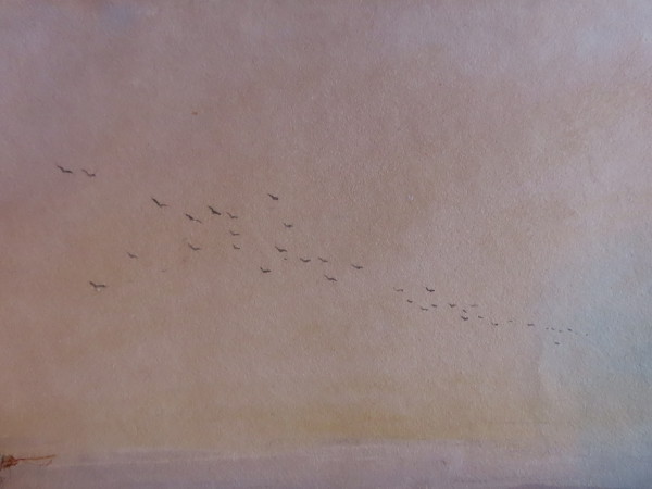 FDA-D.1695-2023-G image FDA-D.1695-2023-G