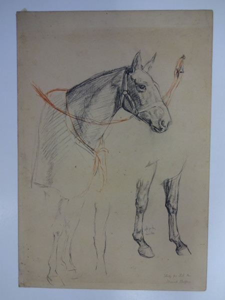 image FDA-D.1463-2016