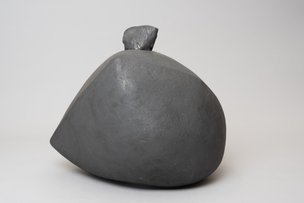 FDA-A.1063-2020-crB image FDA-A.1063-2020-crB