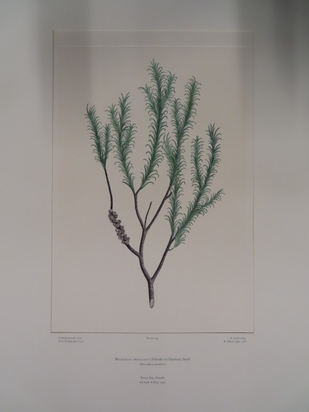 image FDA-E.2916_35_4-2016-A