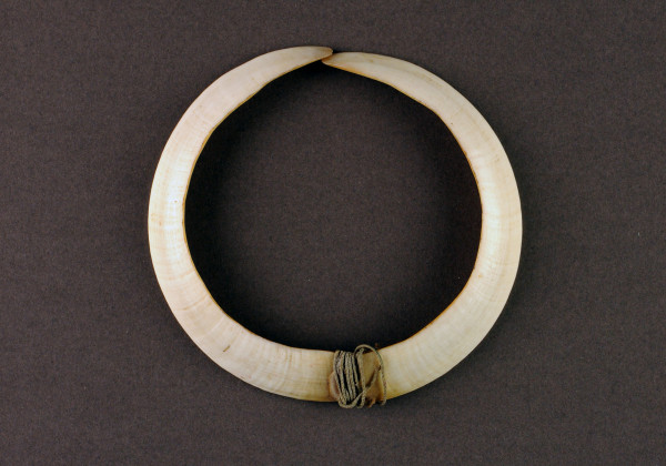 NHM-HT.120-2014 image NHM-HT.120-2014