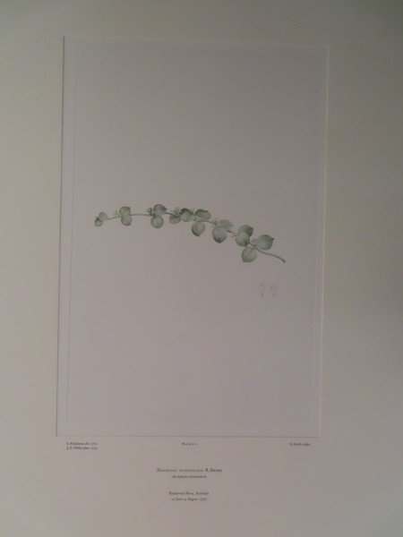 FDA-E.2916_10_12-2016 image FDA-E.2916_10_12-2016