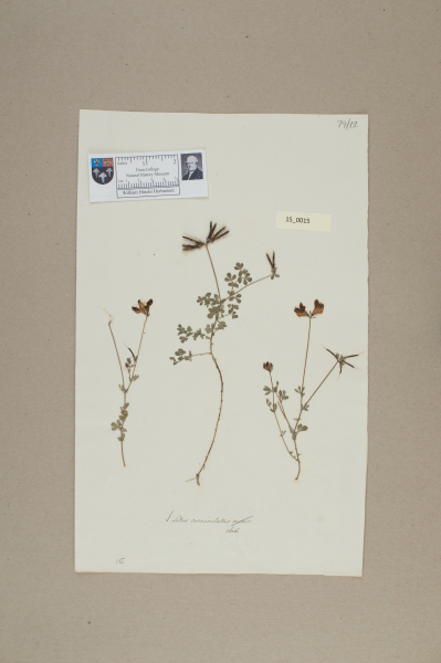 NHM_HH_15.15-2010 image NHM_HH_15.15-2010