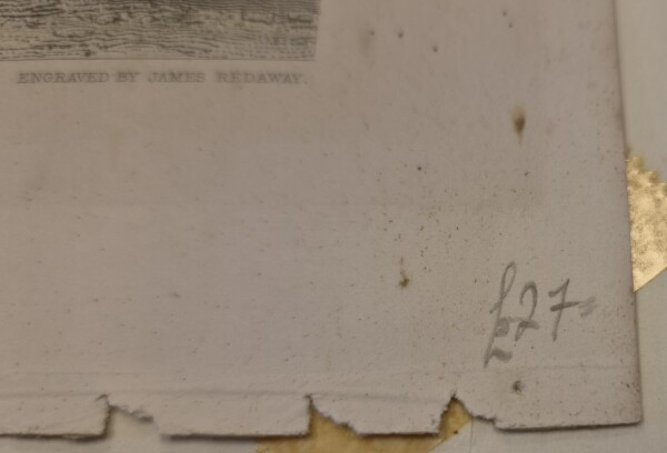 FDA-E.3342-2026-G image FDA-E.3342-2026-G