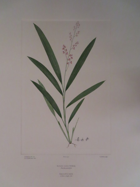 image FDA-E.2916_15_25-2016