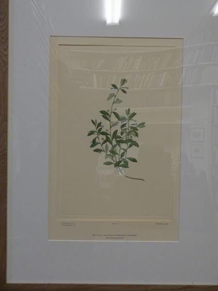 image FDA-E.2916_1_12-2016