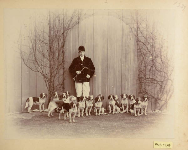 PA-A.73_69-2013 image PA-A.73_69-2013