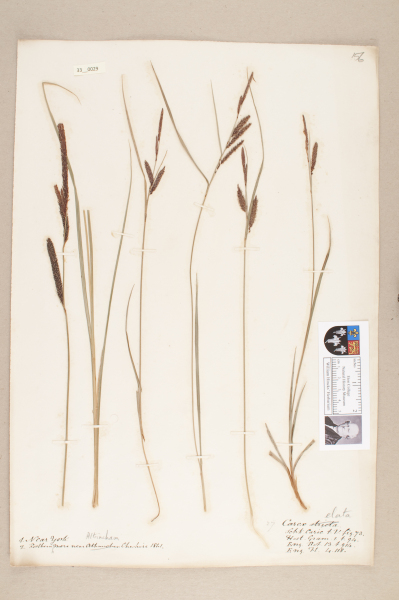 NHM_HH_33.29-2010 image NHM_HH_33.29-2010