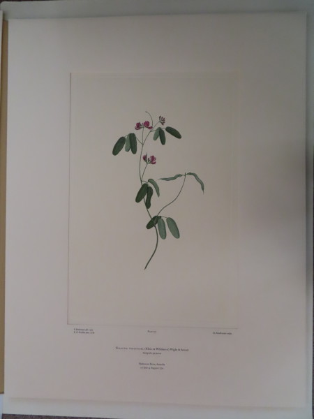 image FDA-E.2916_4_13-2016