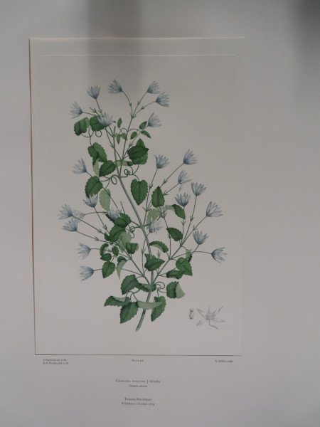 image FDA-E.2916_20_4-2016